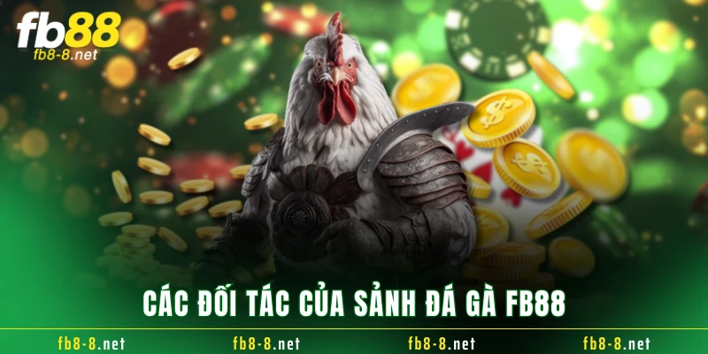 Các đối tác của sảnh đá gà FB88
