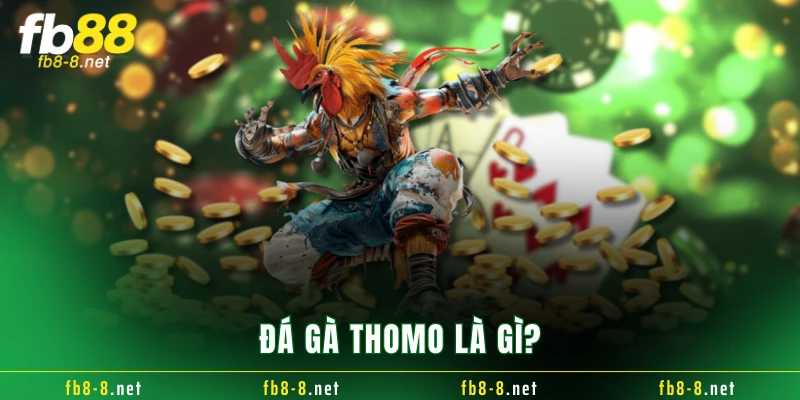 Đá gà Thomo là gì?