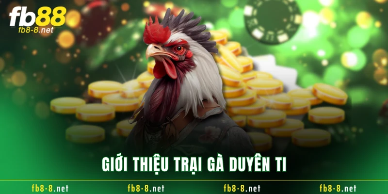 Giới thiệu trại gà Duyên Ti